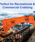 Two Pack Crab Gauge Tool Waterproof Plastic Measuring Device For Dungeness Blue Crab Rock Crab And Lobster Perfect For Fishing Crabbing And Outdoor Use Easy To Read with crabs in background