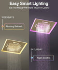 20 Inch Ceiling Mount Led Shower Head With Bluetooth Speaker Handheld Sprayer Brushed Gold Finish showing 64 color options for mood lighting.