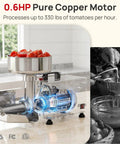 Arinoo Electric Tomato Strainer Juicer Maker Machine 450 Watt Automatic Food Squeezer with pure copper motor and tomatoes.