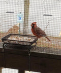Cardinal on Ground Bird Feeder Tray 8 Inch Square Platform Metal Mesh Seed Holder Outdoor Garden Decor For Attracting Wild Birds Durable Black Finish
