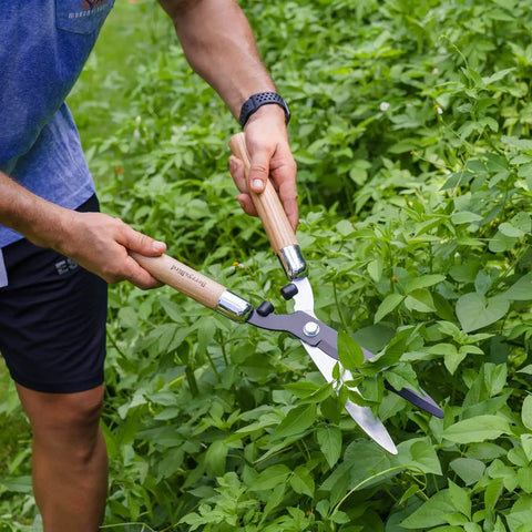 Heavy Duty Garden Hedge Shears 19.88 Inch Reach With Wooden Handles And Pro-Grade Carbon Steel Blades For Pruning Bushes