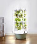 Hydroponics Growing System With LED Grow Light And Hydrating Pump, Five Floor Tower Kit with herbs in a living room setting