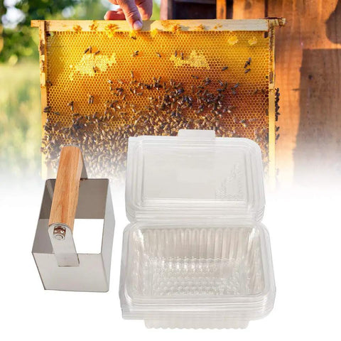 Stainless Steel Comb Honey Cutter And Scraper With Plastic Box Beekeeping Tool shown with honeycomb and boxes