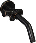 Shower Arm With 2 Way Diverter for Hand Shower and Showerhead, Brass Construction, 1/2 Inch NPT, Corrosion Resistant Finish, Includes Flange