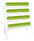 High-Yield Hydroponics Growing System Kit With 36 Plant Sites And Automated Watering, food-grade PVC-U pipes, space-saving garden