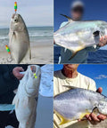 Surf Fishing Rigs For Pompano And Saltwater Gear With Double Circle And Wide Gap Hooks Six Pack For Beach Pier Or Boat Casting