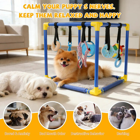 Indoor Puppy Play Gym With Hanging Toys And 8 Enrichment Toys For Small Dogs Cats And Other Pets PVC Frame Activity Center