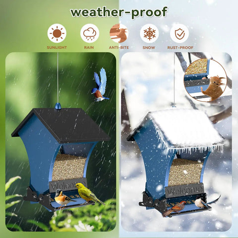 Squirrel Proof Bird Feeder For Outdoors, 5 Pound Metal Hanging Feeder With Two Ports For Cardinals And Chickadees, shown in blue for all-weather use.