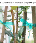 Two Pack 150 Ft Stretch Tie Tape Roll Half Inch Green Vinyl Garden Tie Tape For Plant Training And Staking used on tree branches