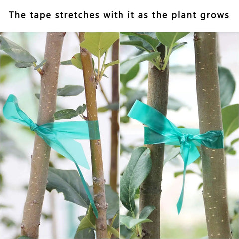 Two Pack 150 Ft Stretch Tie Tape Roll Half Inch Green Vinyl Garden Tie Tape For Plant Training And Staking used on tree branches