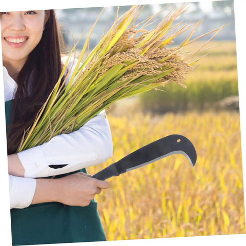 Person holding rice and Weeding Sickle Scythe Hoe Garden Tool For Mowing And Harvesting Workhorse Heavy Duty Agricultural Tool