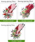 2 In 1 Corn Planter With Double Mouth Seeder Seed Sower And Fertilizer Applicator showing 5, 6, 7 mouth seeder options
