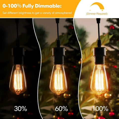 60 Watt Incandescent Edison Light Bulbs Set Vintage Dimmable E26 ST64 Warm White Amber Filament Lamps 2200K Cozy Home Glow dimming range