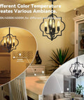 Farmhouse Black Chandelier With 4 Lights Dope Modern Island Pendant Ceiling Light Fixture in dining rooms with various color temperatures.