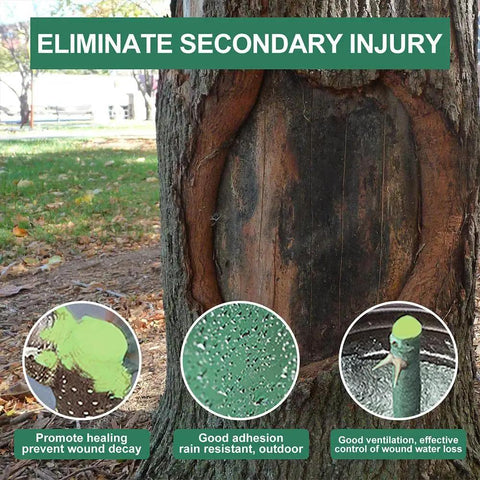DIY Friendly Tree Pruning Sealer Paste With Brush, 100g Wound Repair Sealer For Trees, Grafting Garden Pruning Paste, Quick Heal Formula, Antisepsis For Pruning Cuts, Reduces Water Loss And Nutrient Drain, No Fuss To Use. tree wound seal on trunk