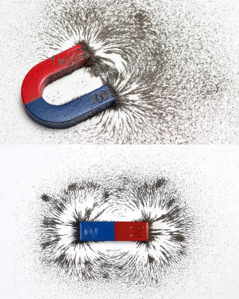 Magnets showing iron filings patterns in Hands On Electricity And Magnetism Kit With Twenty Plus Components For Circuit And Electromagnetism.