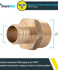 1 Inch Crimp MNPT Male Brass Plumbing Adapter For PEX And Copper, showing transition from PEX to FNPT with crimp rings or clamps.