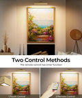 Brushed Gold Battery Operated Picture Light 16 Inch With Dimmable CCT highlights artwork in living room using touch and remote control.