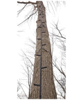 Extra Long Tree Climbing Stick Ladder For Deer Hunting Up To 25 Feet Durable Climbing Gear For Tree Stands on tall tree