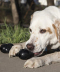 Extreme Goodie Bone Built Tough For Power Chewers Durable Natural Rubber Black For Large Dogs Great For Chew Sessions And Mental Stimulation That Lasts Longer Than Ordinary Toys. Black natural rubber chew toy for large dog, shown being held and chewed outdoors