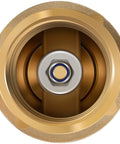 Close-up of 1-inch brass check valve with backflow preventer, FNPT-FNPT, no-lead brass