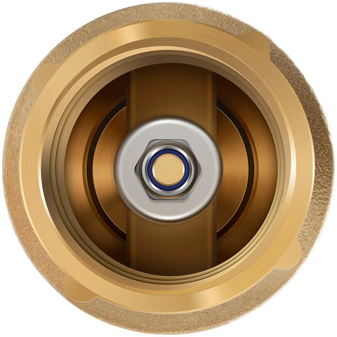 Close-up of 1-inch brass check valve with backflow preventer, FNPT-FNPT, no-lead brass