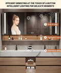 Top Tier Double Sink Bathroom Vanity Made From Solid Wood Featuring Integrated Ceramic Sink And Built In LED Defogging Mirror with stylish design.