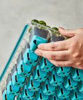 36 Cell Reusable Seed Starter Tray For Easy Indoor Seed Starting Of Vegetables Flowers And Herbs With No Fuss Pop Out Cells Germination Kit For Strong Seedlings And Quick Growth