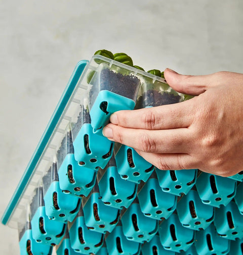 36 Cell Reusable Seed Starter Tray For Easy Indoor Seed Starting Of Vegetables Flowers And Herbs With No Fuss Pop Out Cells Germination Kit For Strong Seedlings And Quick Growth