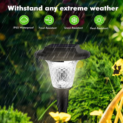 8 Pack Glass Solar Outdoor Lights With 1000mAh Solar Panel Warm White Color Changing Modes For Pathways And Walkways Backyard Lawn Garden Waterproof Glass Shade illuminating in rain.