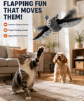 Flying Bat Dog Toy With Motion Activated Rechargeable Power, Interactive Indoor Outdoor Toy For Cats And Dogs With Realistic Flapping Wings And Pet Hair Removal Glove, cat and dog play