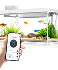 Top Tier Ready Slick Desktop Aquarium Kit With Smart App Control And Built In Auto Feeder 1.3 Gallon Small Fish Tank featuring fish and plants.