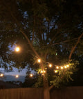 Outdoor String Lights Four 51 Foot Runs Waterproof Dimmable LED Bulbs Shatterproof 2W illuminating a tree in a garden at dusk.