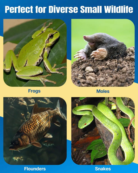 Image showing small wildlife: frog on leaf, mole on dirt, flounder in water, and green snake on branch.