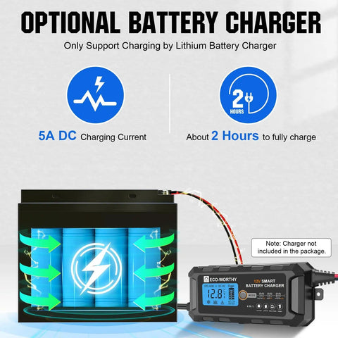 12V 10Ah LiFePO4 Deep Cycle Battery With Built In BMS For Fish Finder Lighting And Backup Power next to optional charger
