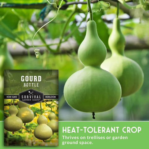 Super Easy Grow Bottle Gourd Seeds Packet With Growing Guide For Home Garden Calabash Birdhouse Gourds Non GMO Heirloom Variety Survival Garden Seeds With Step By Step Planting Instructions And Growing Tips For A Bountiful Harvest
