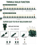 Diagram showing twinkle bulb function and fuse replacement for Warm White Incandescent Christmas Lights Outdoor 20ft String With 100 Bulbs Waterproof For Xmas Decor Indoor Safe Classic Cozy Glow For Trees Porches And Holiday Festivities Includes Spare Fuses And Replacement Bulbs.