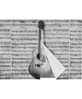 Dope Guitar Car Window Curtains 26X20 Inches Dual Layer Blackout With Mesh Privacy Magnetic Side Window Shade Sheet Music Design