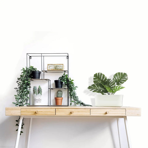 Five Pack White Herb Planter Boxes With Drip Trays Eight Point Five Inch Small Oval Window Planters For Kitchen Sill Indoor Outdoor Use Ideal For Basil Mint Succulents And Flowers Great For Narrow Spaces on desk with greenery