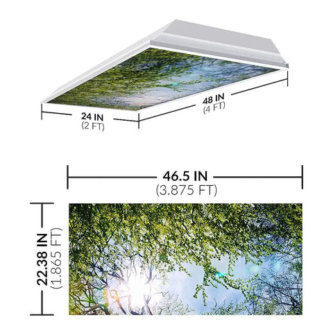 Tree Themed Fluorescent Light Covers For 2x4 Ceiling Fixtures With A Soft Glow, Low Glare Lighting, Evergreen Ash Tree design