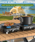 2 Burner Propane Camping Stove With 20,000 BTU Total Heat, Foldable Portable Camp Stove With Piezo Ignition And Adjustable Burners
