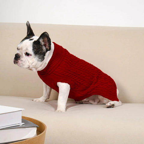 Cozy As Heck 2 Pack Dog Sweaters For Medium Breeds, Size L, Red And Green, Pawfect Winter Pullovers For Frenchies Corgis Dachshunds. Red cable knit sweater on French Bulldog.