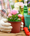 Gardener holding 100 Pack 6 Inch Plant Nursery Pots Reusable Waterproof Plastic Pots Seed Starting Pots with flowers