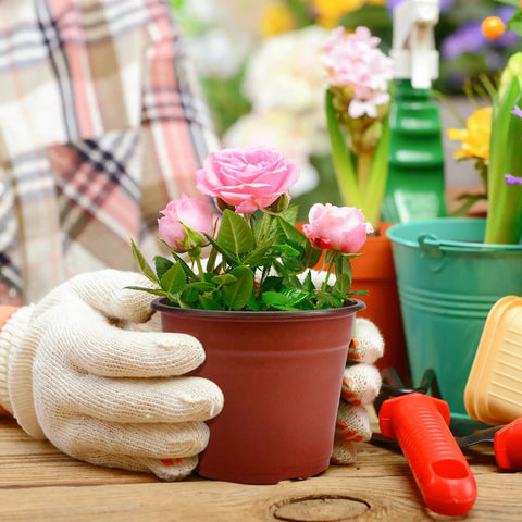 Gardener holding 100 Pack 6 Inch Plant Nursery Pots Reusable Waterproof Plastic Pots Seed Starting Pots with flowers