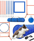 All In One Dog Agility Training Equipment Set For Small Medium And Large Dogs Obstacle Course Kit with tunnel, poles, and hurdles.
