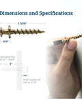 Bear Claw Hanger Screws 150 Pack for Pictures and Mirrors showing dimensions, gold screws for drywall and plaster mounting