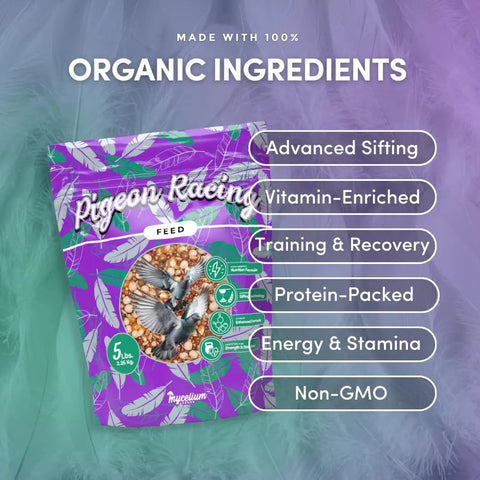 Organic Racing Pigeon Food Race Ready High Protein Bird Seed With Vitamin Premix For Endurance Muscle Recovery And Flight