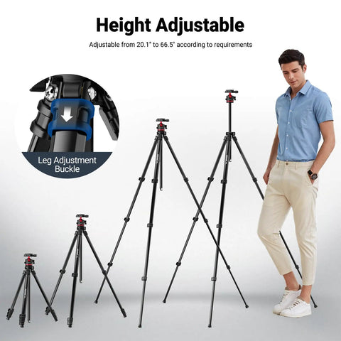 Travel Tripod For Camera And Phone, 66.5 Inch Tall Aluminum Stand With Ball Head, Arca Type Quick Release Plate, height adjustable