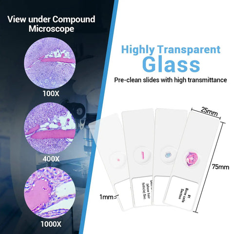 100 Pack Prepared Microscope Slides Set For Kids And Homeschoolers With Professional Specimens High Quality Optical Glass Frosted Round Edge Safe Classroom Lab Gear For Science Class showing magnified specimens and slide dimensions in detail.