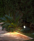 View of Six Pack RGBW Outdoor LED Spotlights illuminating garden with remote control for color changing 120V US Plug 16 Colors 4 Modes